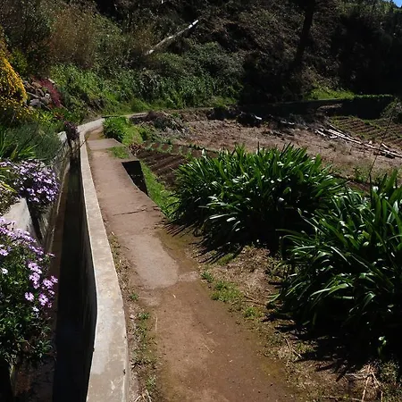 Casa Caminho Verde * Arco da Calheta (Madeira)