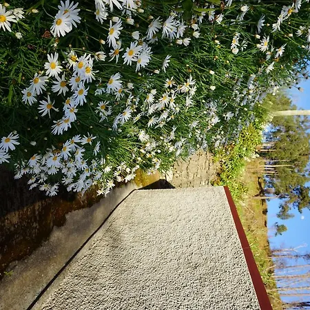 Farm stay Casa Caminho Verde Arco da Calheta (Madeira)